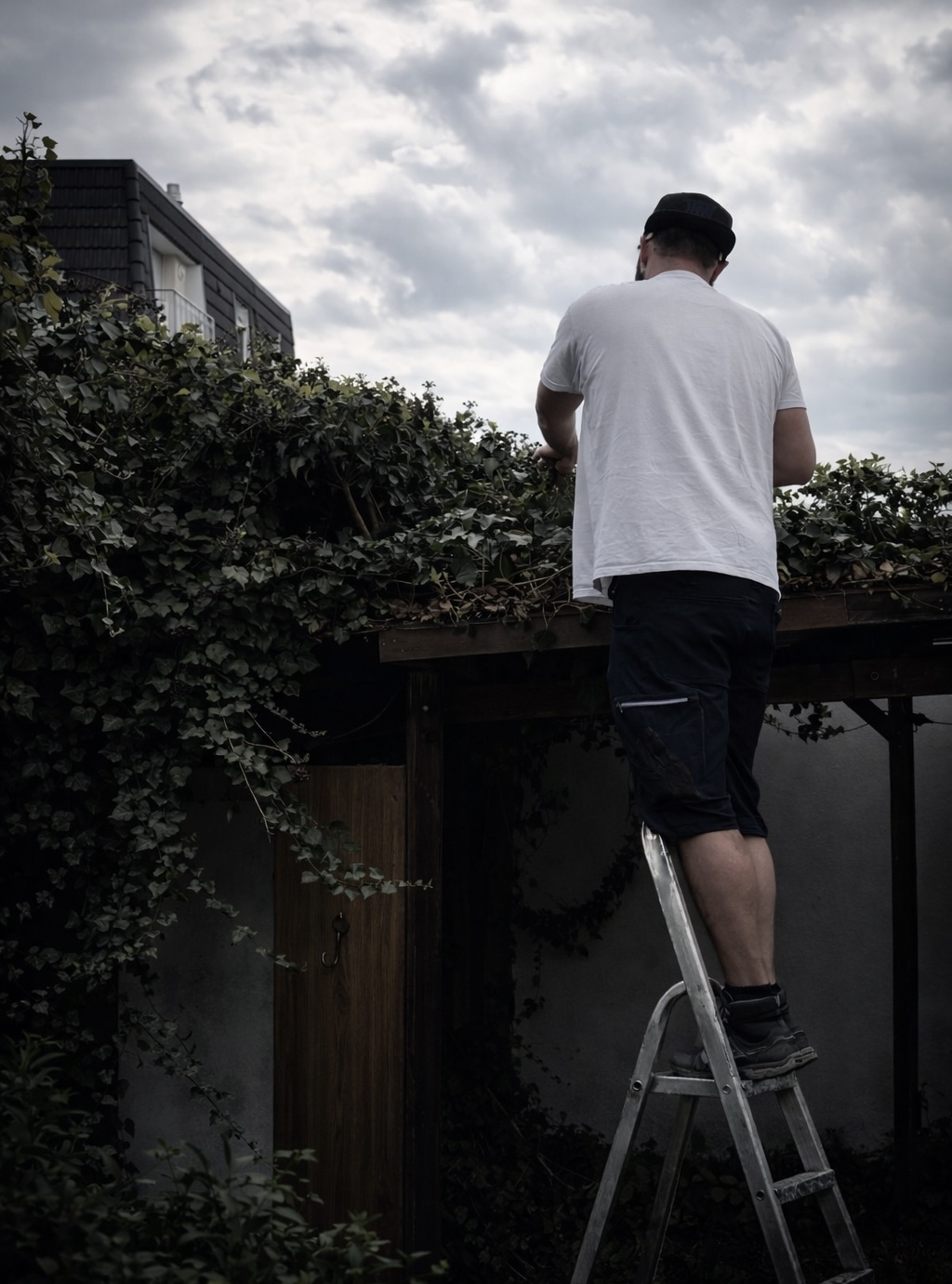 Composition paysagère géométrique et contemporaine